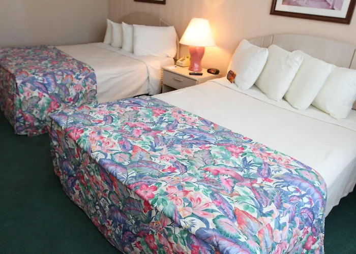 Princess Bayside 2*